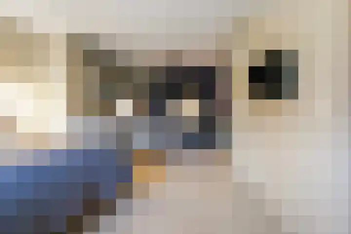 De Statie 5 Vlijmen thumbnail 17