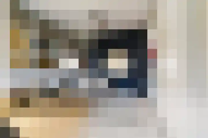 De Statie 5 Vlijmen thumbnail 18