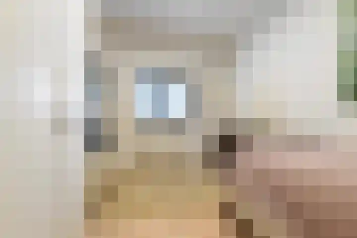 De Statie 5 Vlijmen thumbnail 27