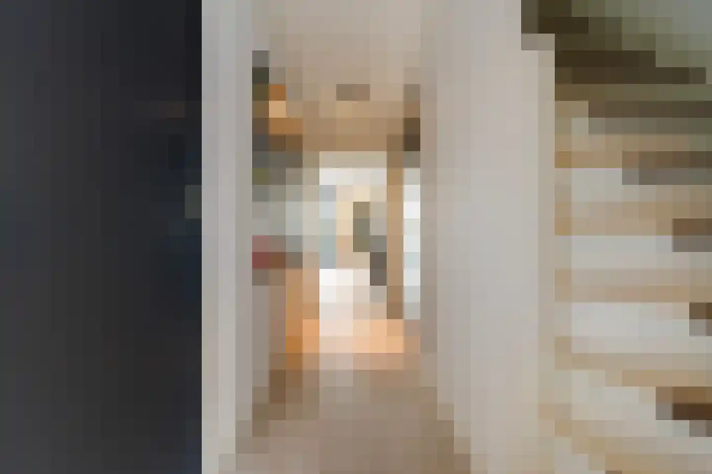 De Statie 5 Vlijmen thumbnail 6