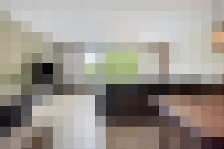 De Statie 53 Vlijmen thumbnail 10