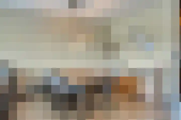 De Statie 53 Vlijmen thumbnail 11