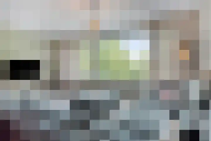 De Statie 53 Vlijmen thumbnail 12