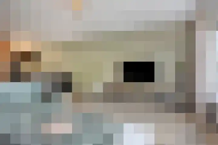 De Statie 53 Vlijmen thumbnail 13