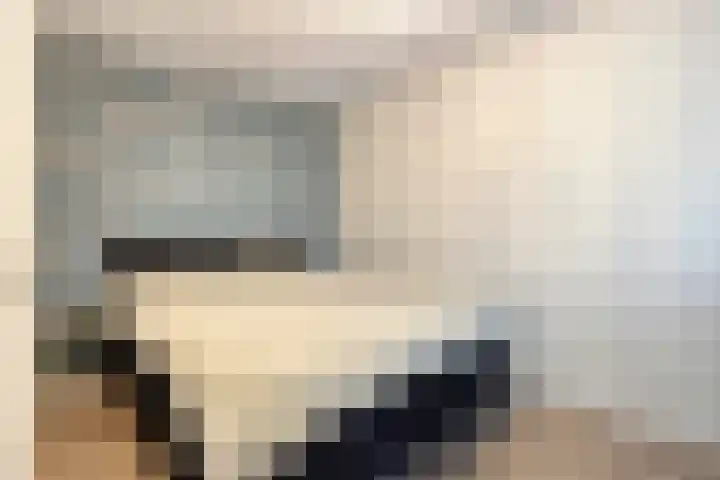 De Statie 53 Vlijmen thumbnail 17