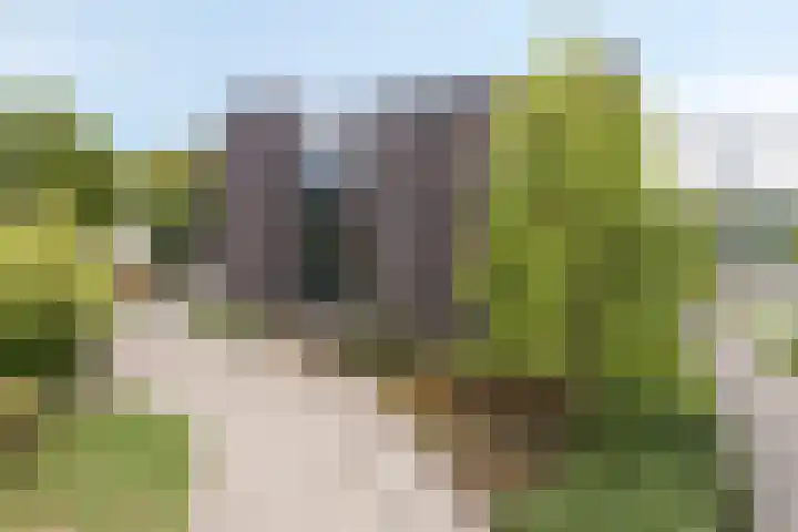 De Statie 53 Vlijmen thumbnail 26