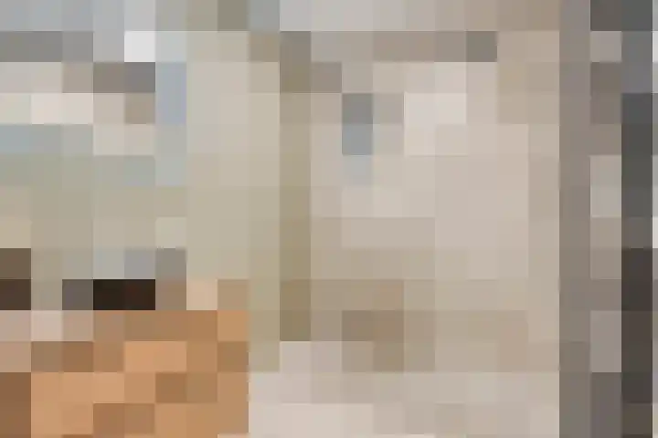 De Statie 53 Vlijmen thumbnail 4