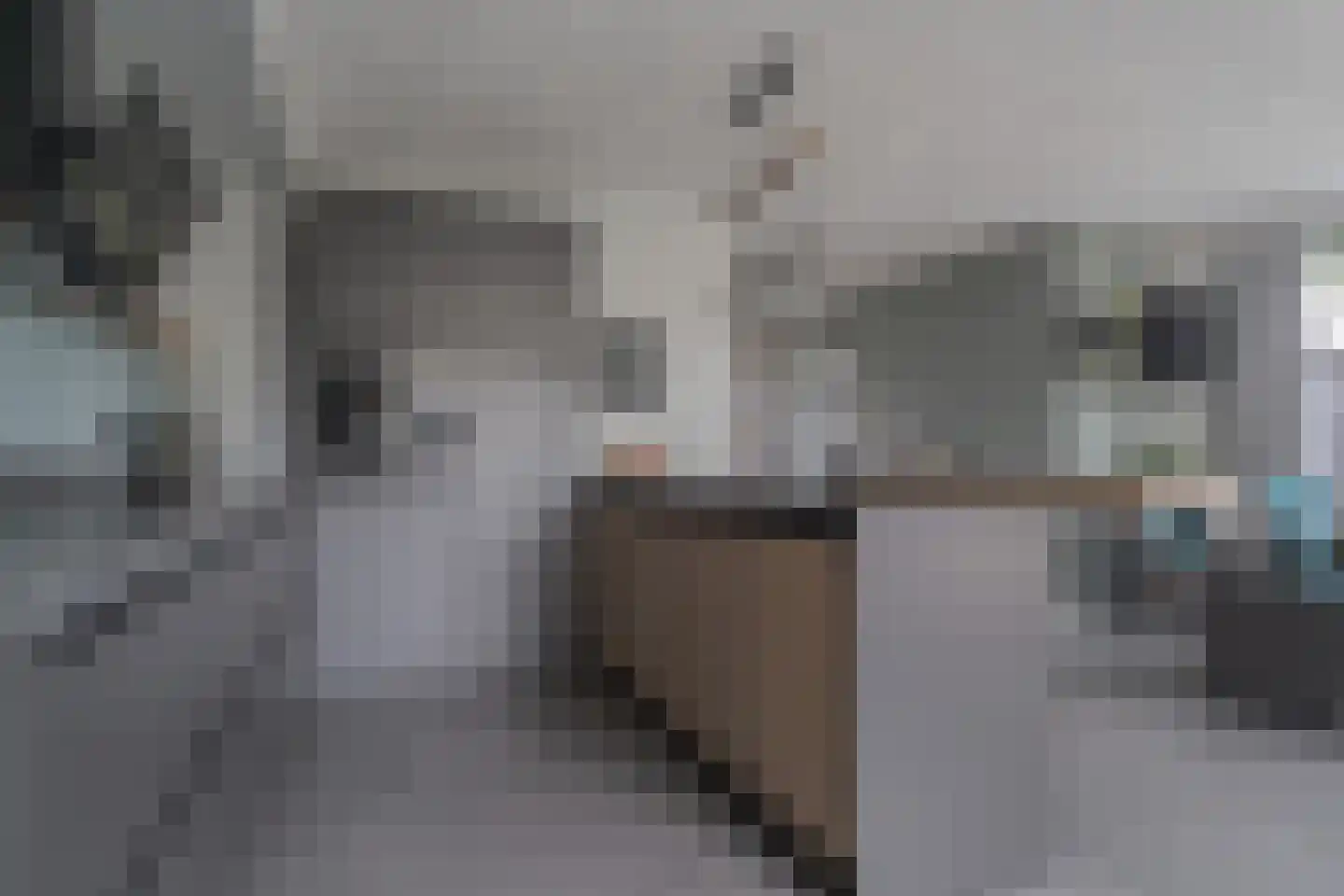 De Steeg 1 Wijster thumbnail 21