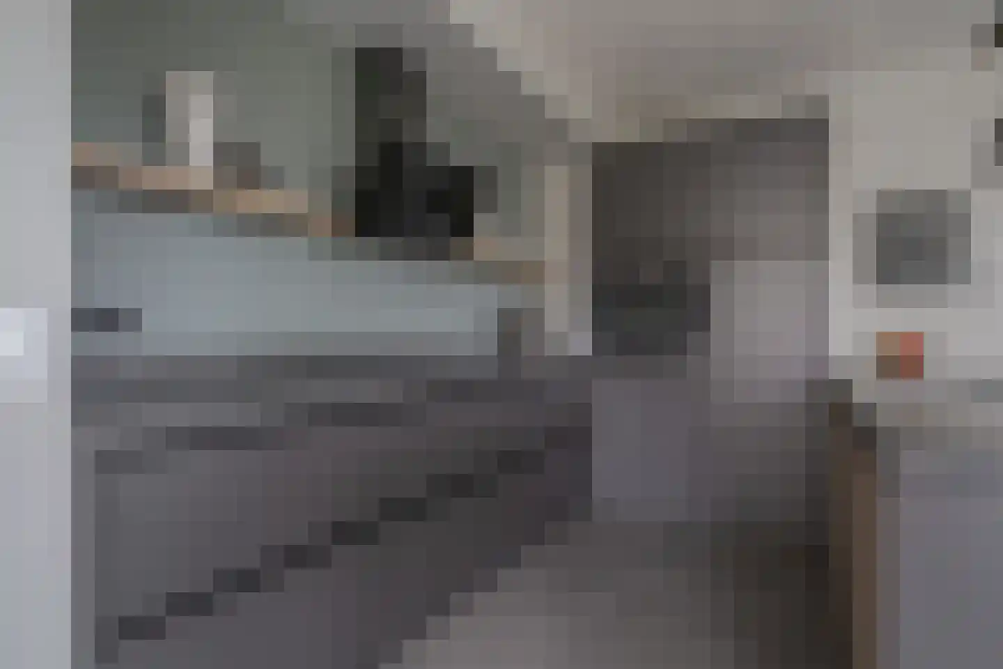 De Steeg 1 Wijster thumbnail 22