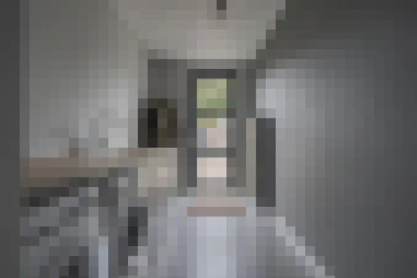 De Steeg 1 Wijster thumbnail 25