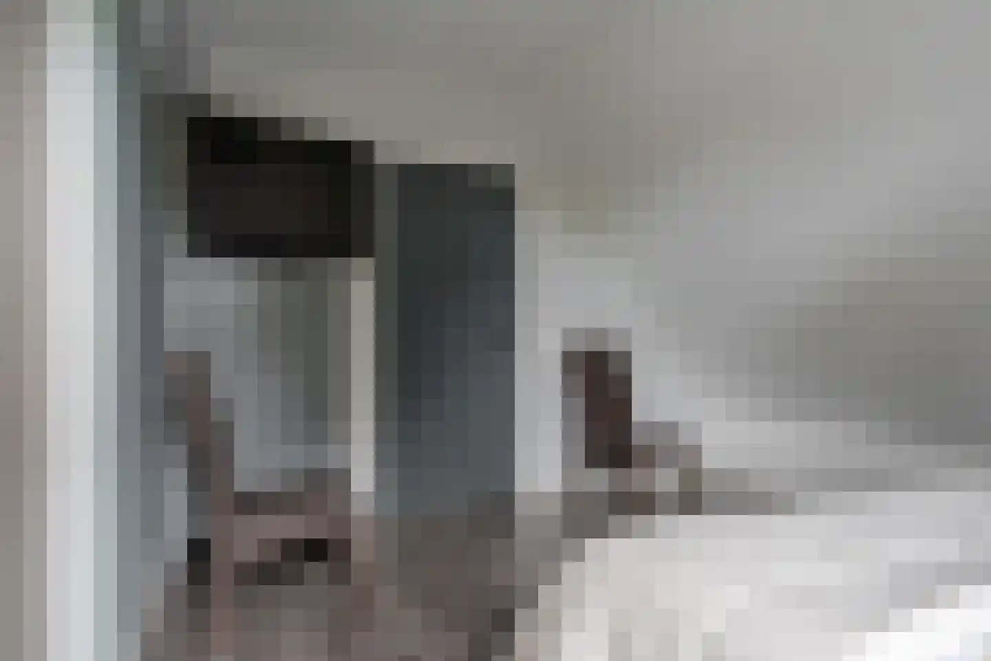 De Steeg 1 Wijster thumbnail 38