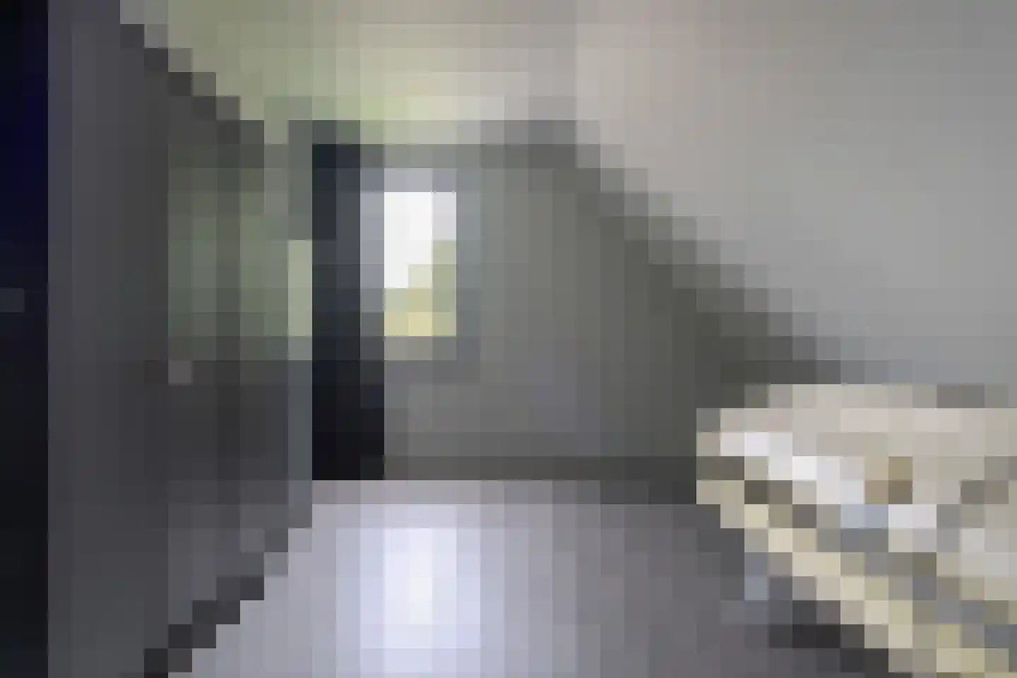 De Steeg 1 Wijster thumbnail 39
