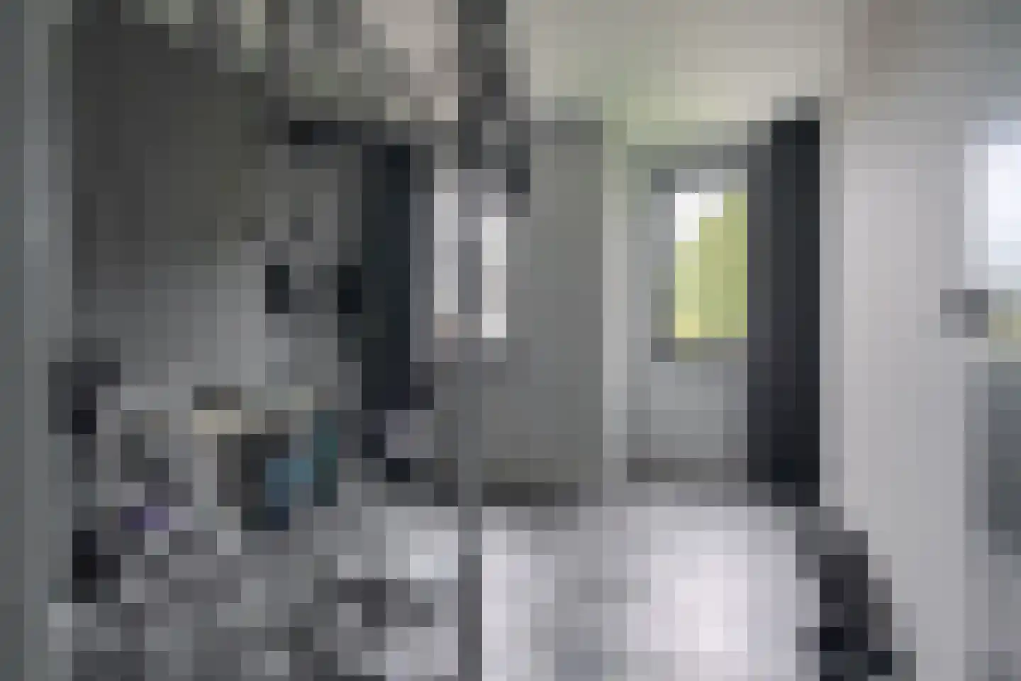 De Steeg 1 Wijster thumbnail 42