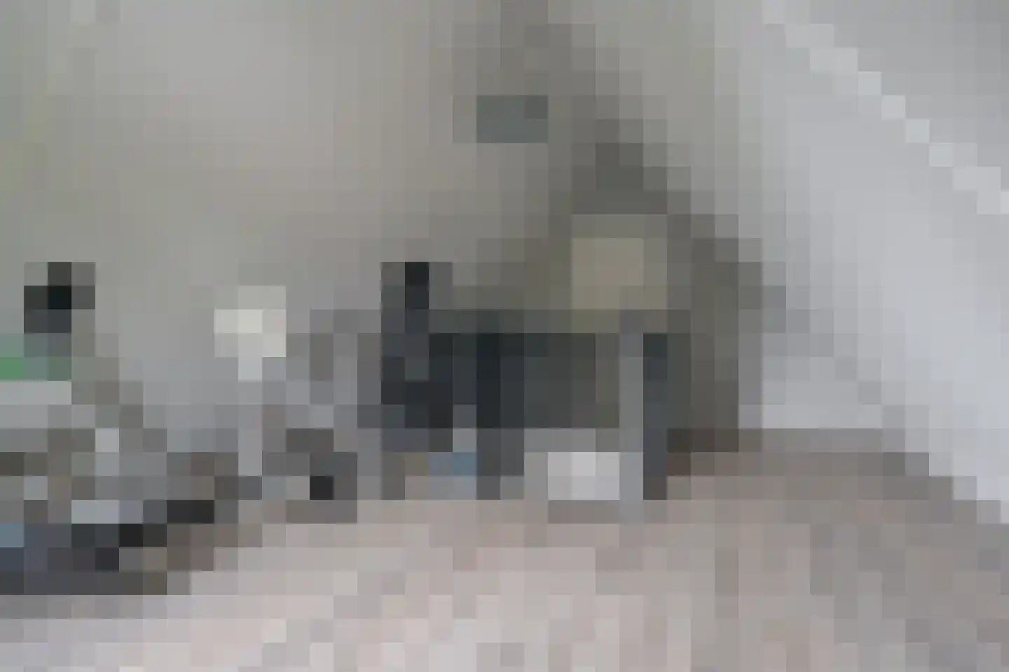 De Steeg 1 Wijster thumbnail 48