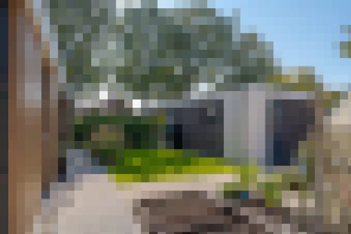De Steeg 1 Wijster thumbnail 53