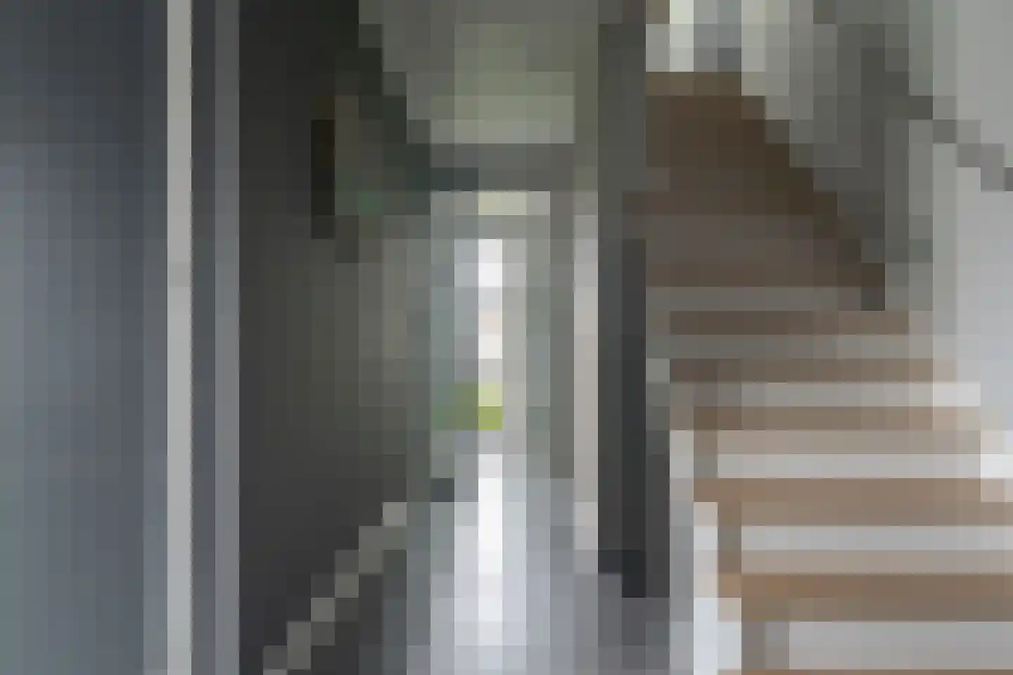 De Steeg 1 Wijster thumbnail 9