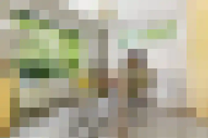 De Steeg 16 Huissen thumbnail 11