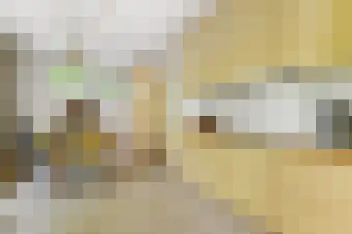 De Steeg 16 Huissen thumbnail 12