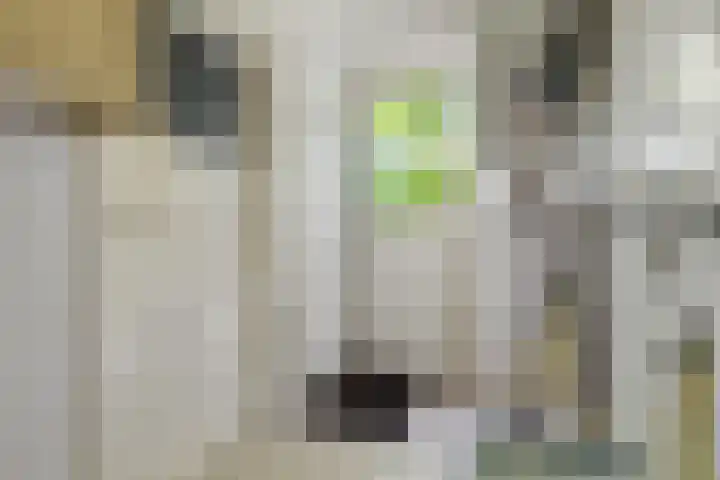 De Steeg 16 Huissen thumbnail 13