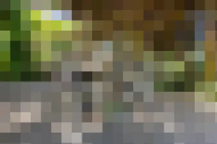 De Steeg 16 Huissen thumbnail 14