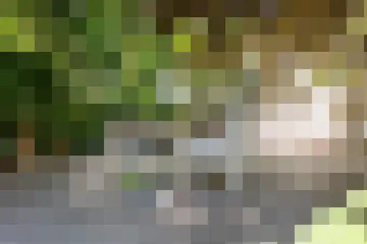 De Steeg 16 Huissen thumbnail 15