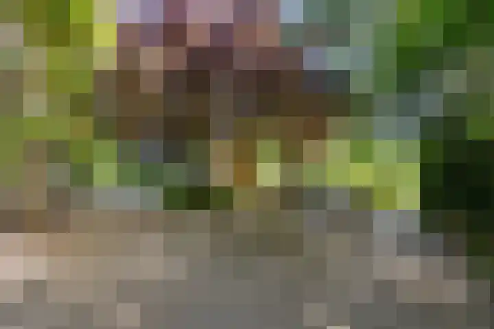 De Steeg 16 Huissen thumbnail 16