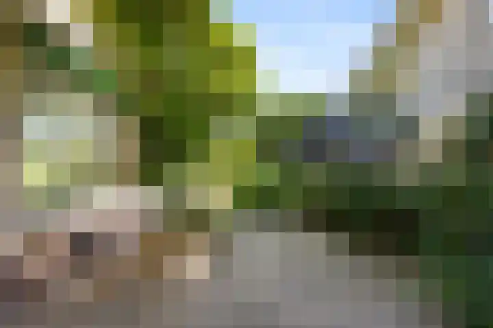 De Steeg 16 Huissen thumbnail 17
