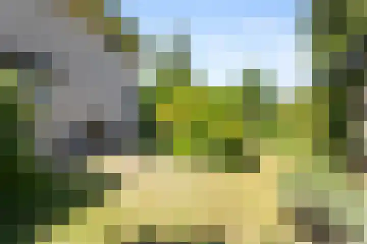 De Steeg 16 Huissen thumbnail 18