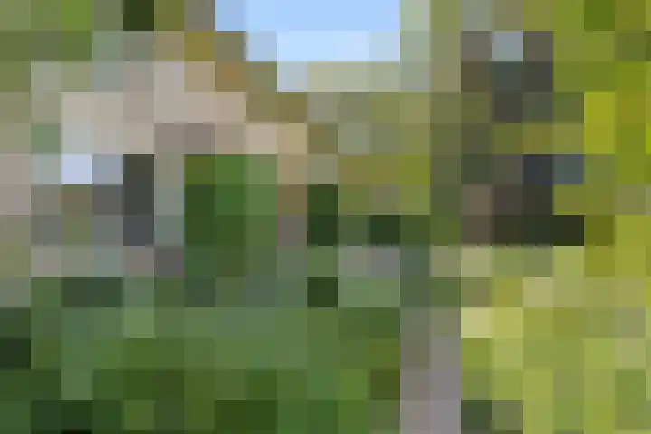 De Steeg 16 Huissen thumbnail 19