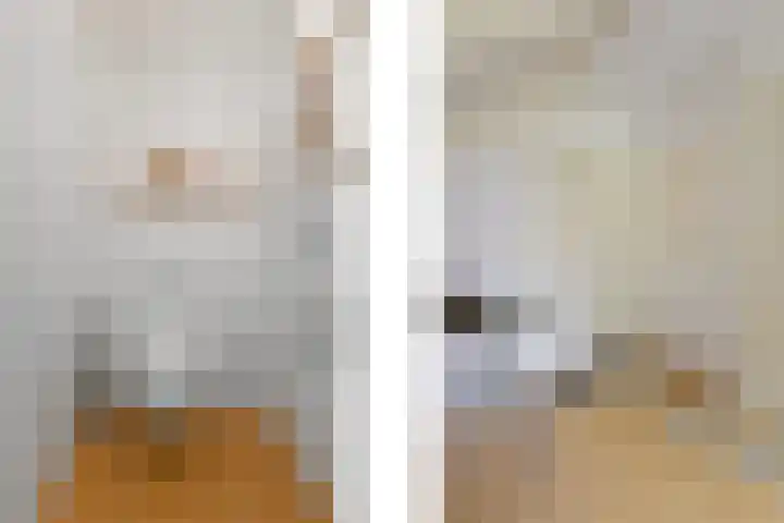 De Steeg 16 Huissen thumbnail 21
