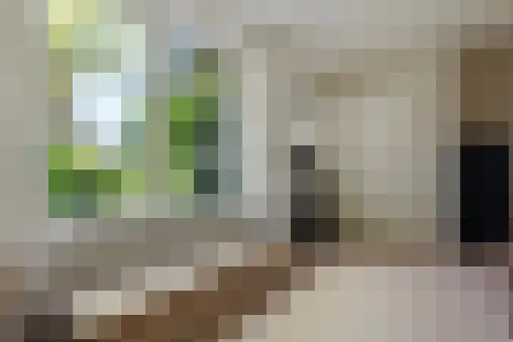 De Steeg 16 Huissen thumbnail 23