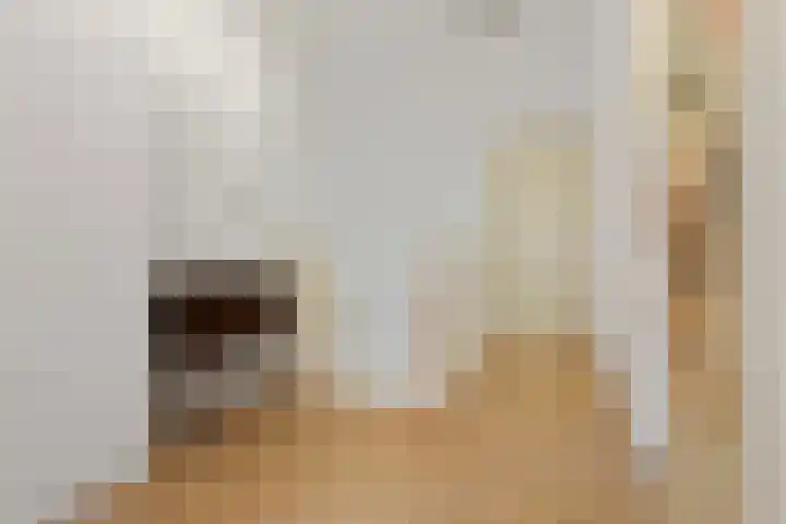 De Steeg 16 Huissen thumbnail 24