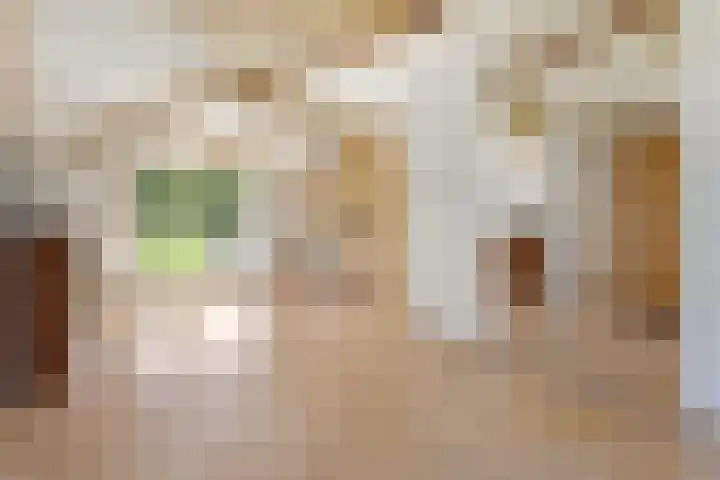De Steeg 16 Huissen thumbnail 26