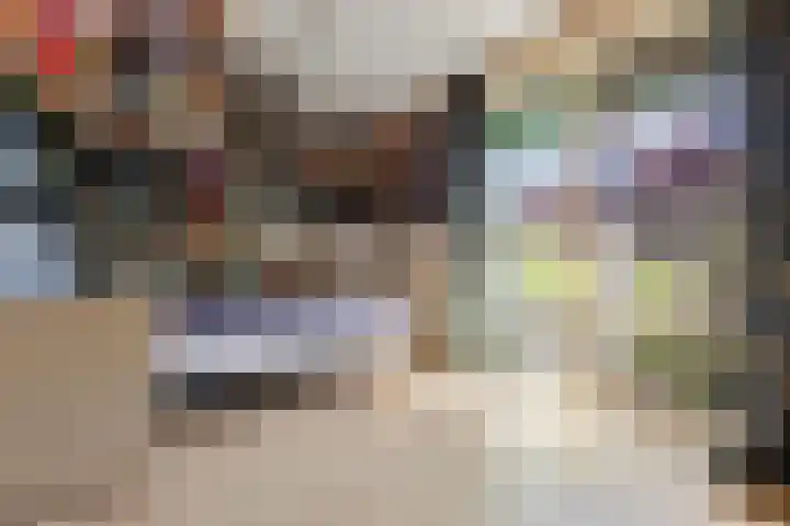 De Steeg 16 Huissen thumbnail 31