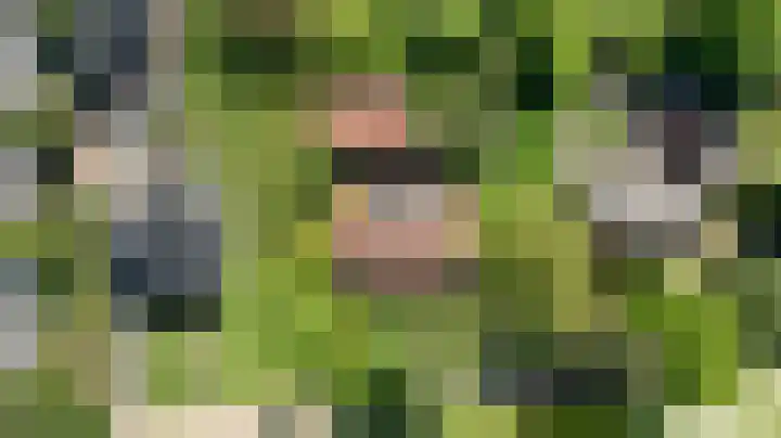 De Steeg 16 Huissen thumbnail 32