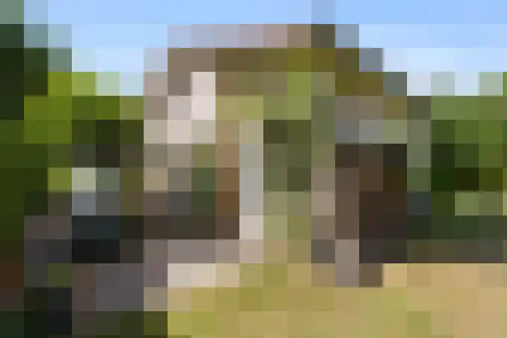 De Steeg 16 Huissen thumbnail 35