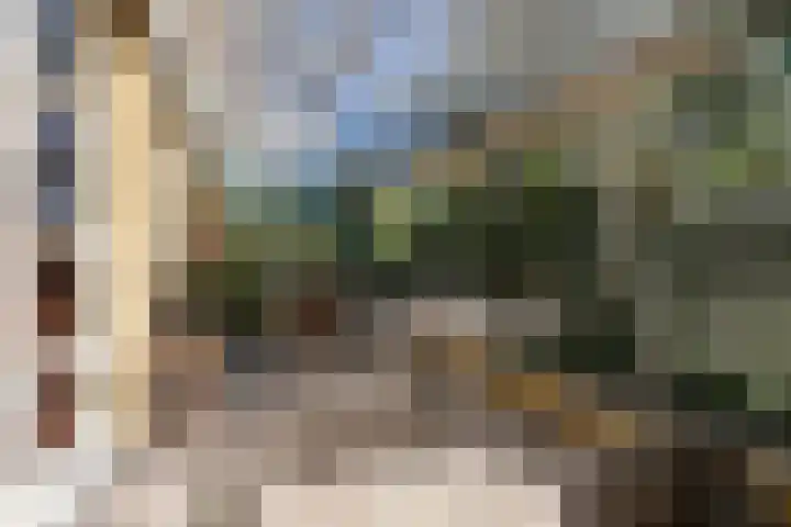 De Steeg 16 Huissen thumbnail 36