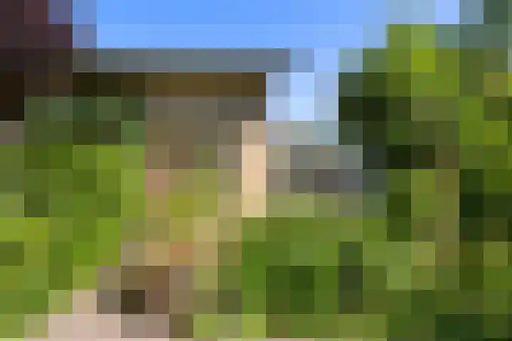 De Steeg 16 Huissen thumbnail 37