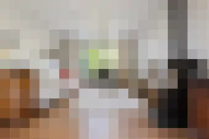 De Steeg 16 Huissen thumbnail 4