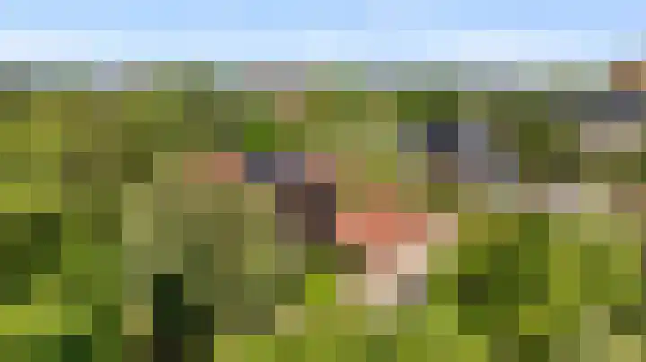 De Steeg 16 Huissen thumbnail 43