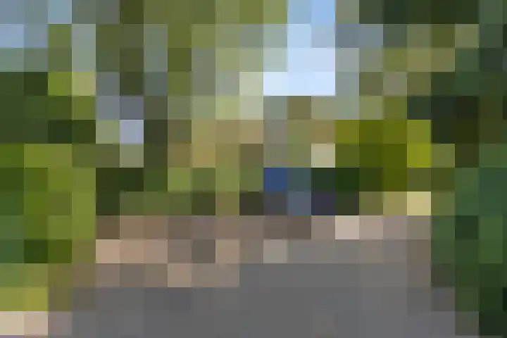 De Steeg 16 Huissen thumbnail 44