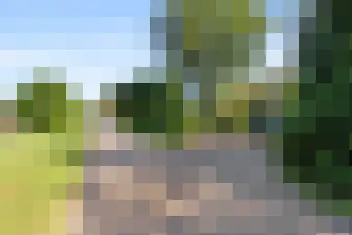 De Steeg 16 Huissen thumbnail 45