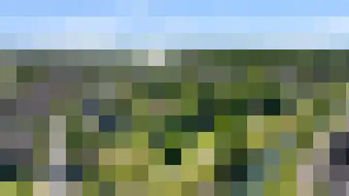 De Steeg 16 Huissen thumbnail 47