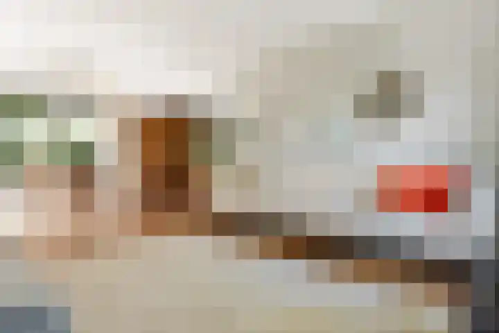 De Steeg 16 Huissen thumbnail 5