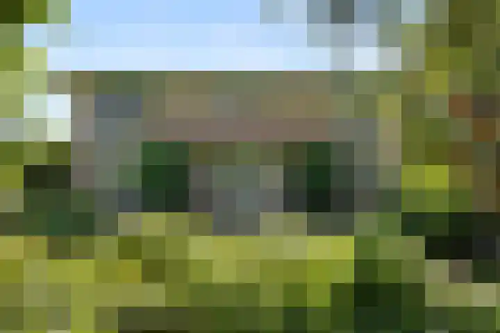De Steeg 16 Huissen thumbnail 52