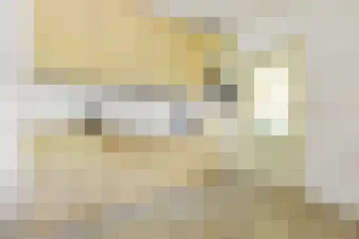 De Steeg 16 Huissen thumbnail 9