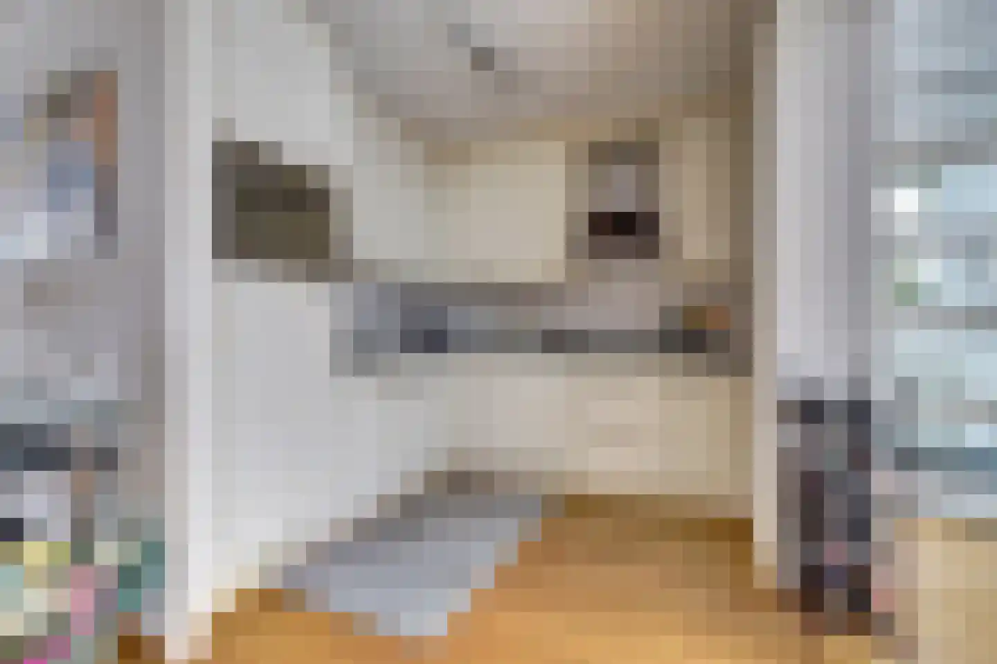 de Steeg 24 Angeren thumbnail 12