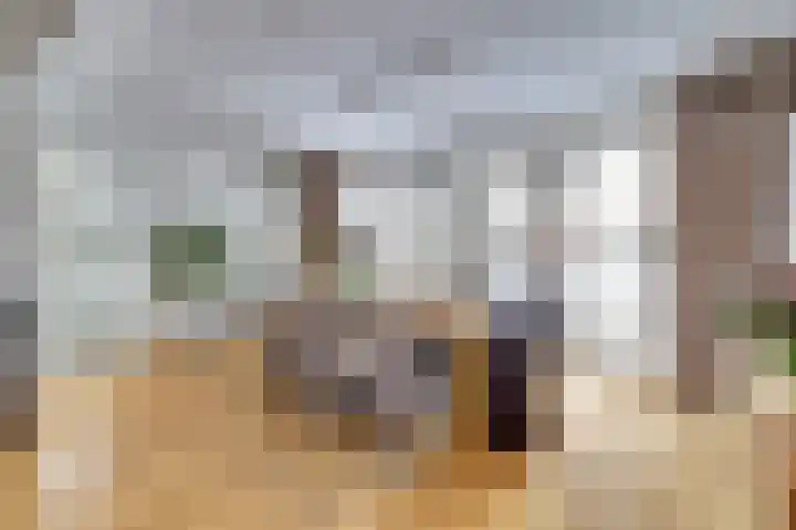 de Steeg 24 Angeren thumbnail 13
