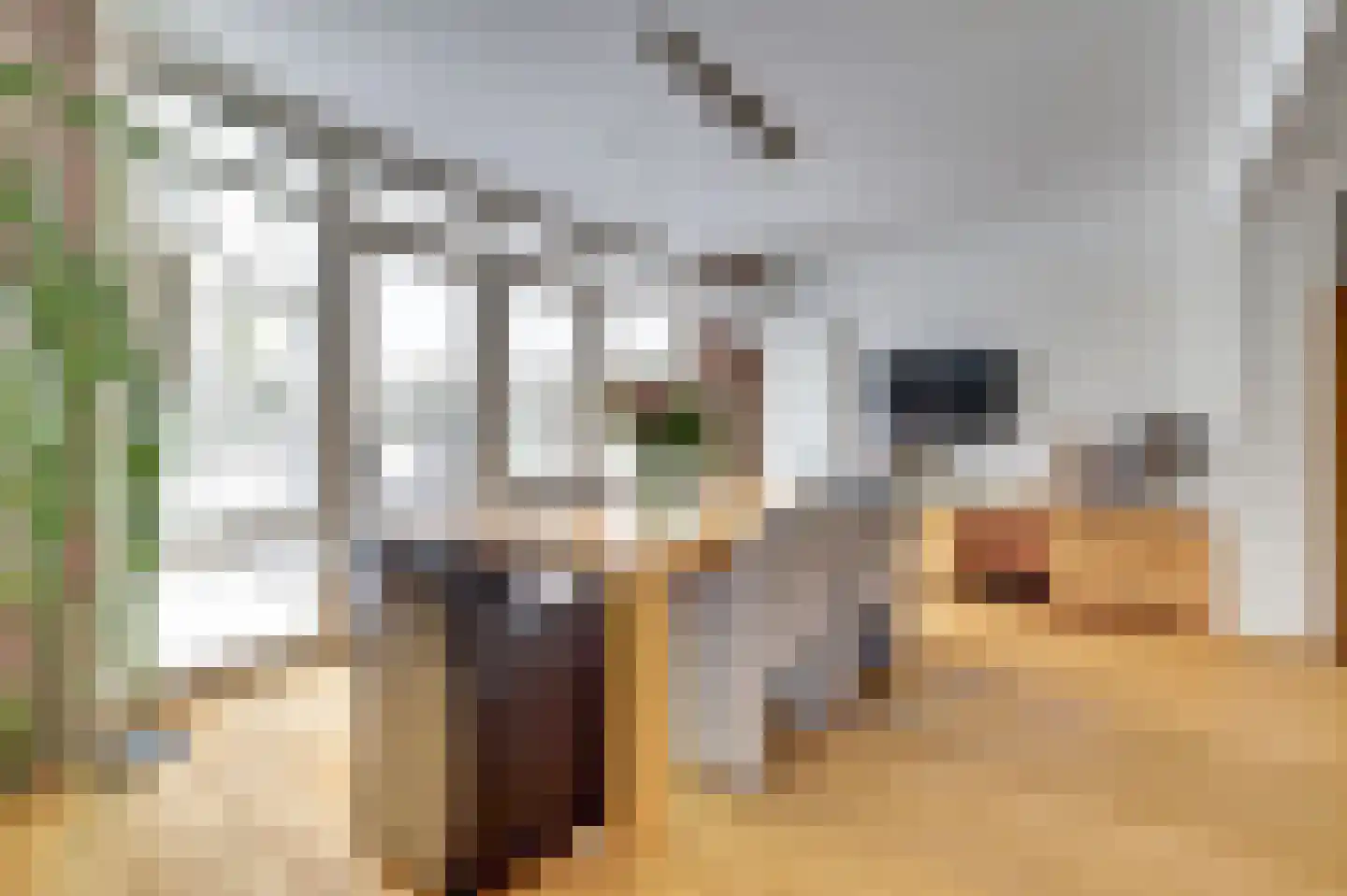 de Steeg 24 Angeren thumbnail 15