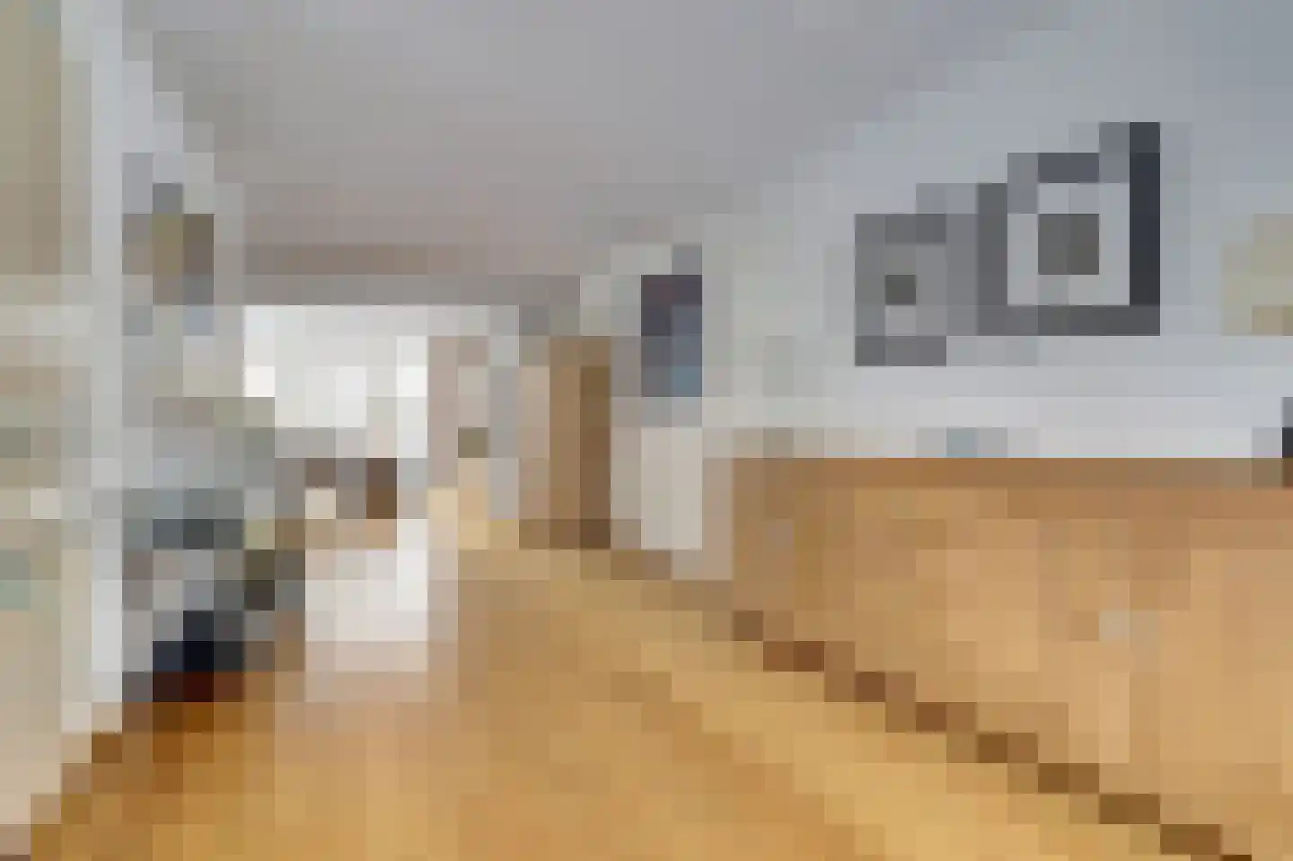 de Steeg 24 Angeren thumbnail 16